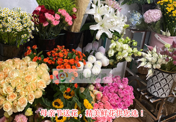 2024滦州市母亲节送花,滦州市精美鲜花供您选!